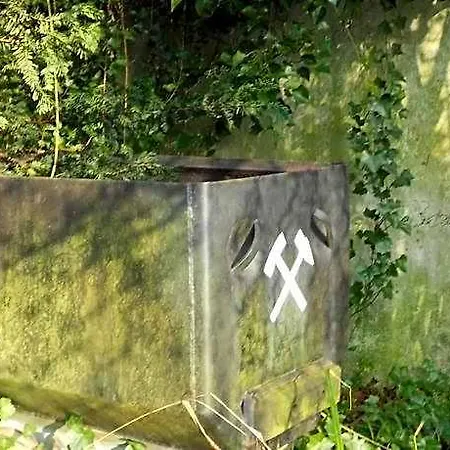 Specht